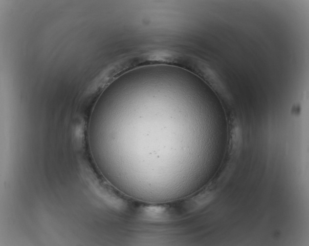 X0000112360265200908201509