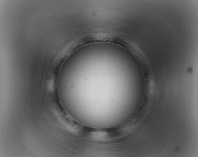 X0000112360266200908201509