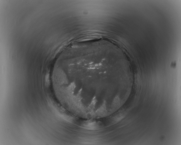 X0000112360267200908201509