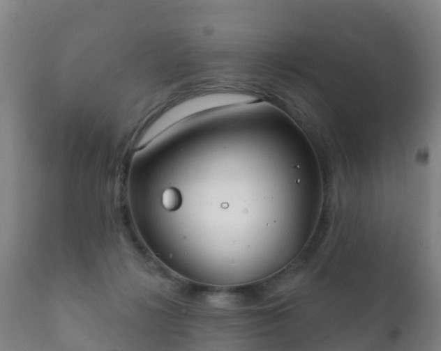 X0000112360268200908201509