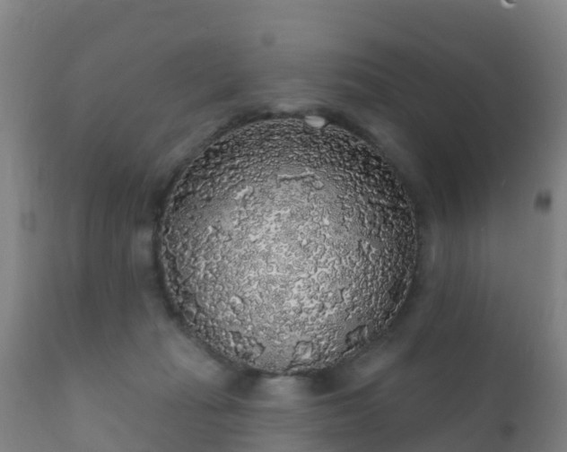 X0000112360269200908201509