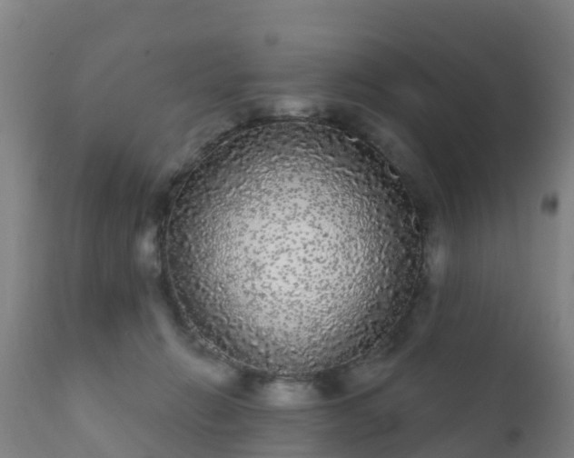 X0000112360270200908201510