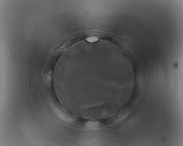 X0000112360271200908201510