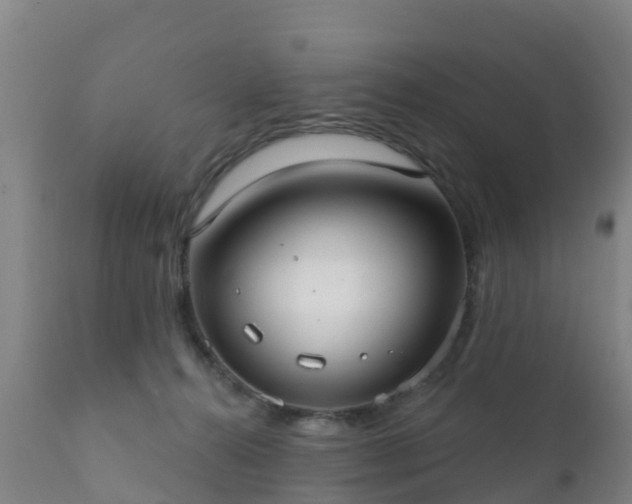 X0000112360272200908201510