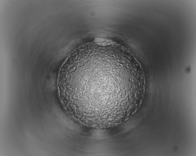 X0000112360273200908201510