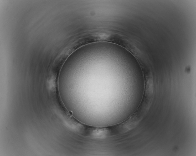 X0000112360274200908201510