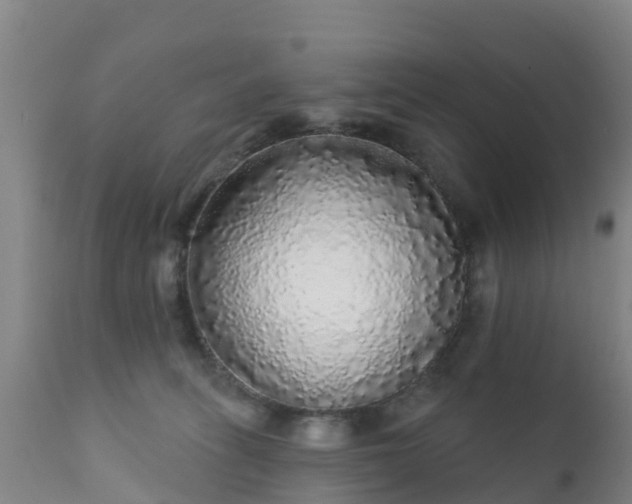 X0000112360275200908201510