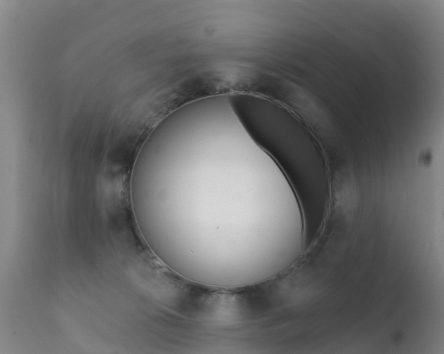 X0000112360276200908201510