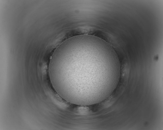 X0000112360279200908201510