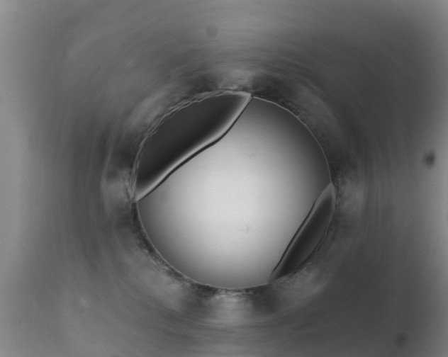 X0000112360280200908201510