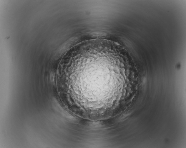 X0000112360281200908201510