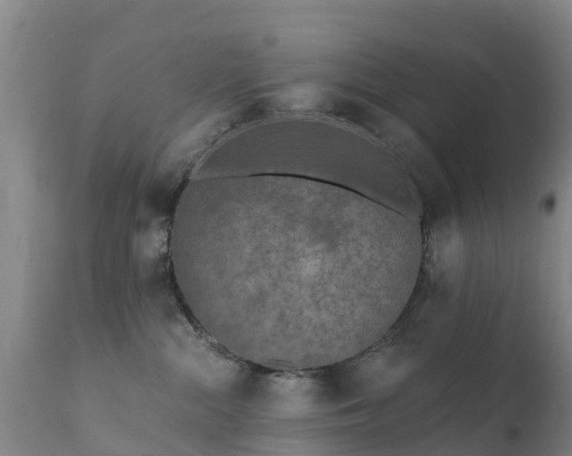 X0000112360284200908201510