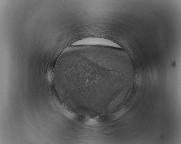 X0000112360285200908201510