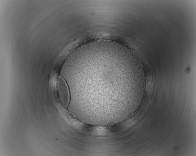 X0000112360287200908201510