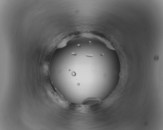 X0000112360288200908201510