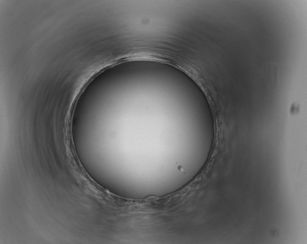 X0000112360289200908201509