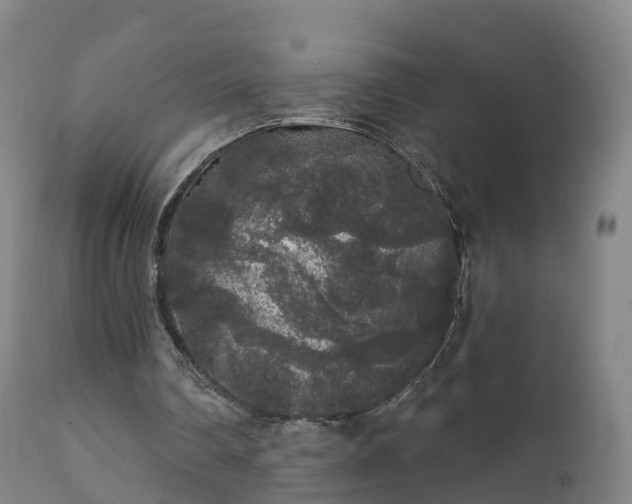 X0000112360290200908201509