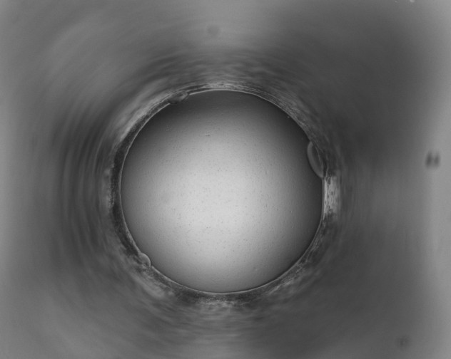 X0000112360291200908201509