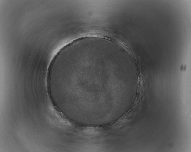 X0000112360292200908201509