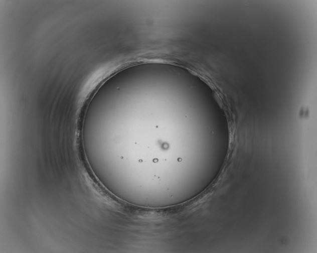 X0000112360293200908201509