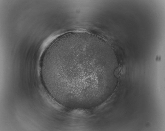 X0000112360294200908201509