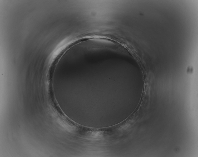 X0000112360295200908201509