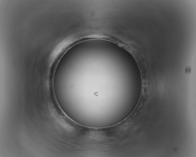 X0000112360296200908201509