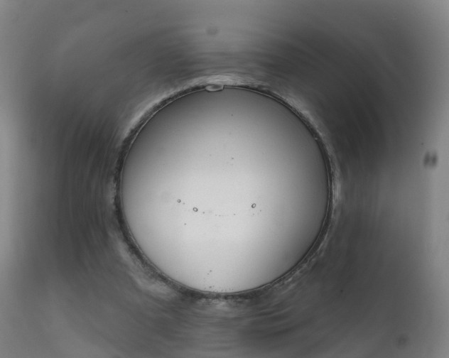 X0000112360297200908201509