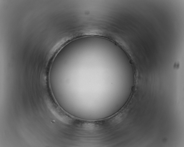 X0000112360298200908201509