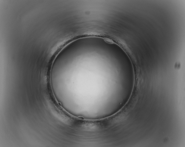 X0000112360299200908201509