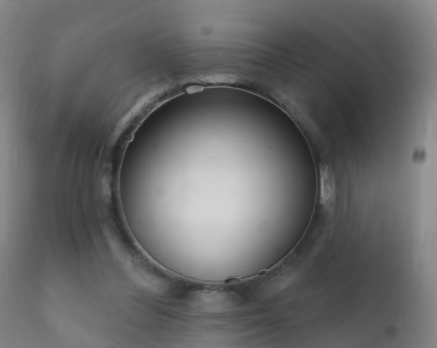 X0000112360300200908201509