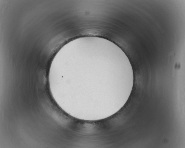 X0000112360302200908201509