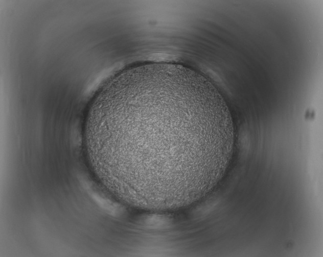 X0000112360303200908201509