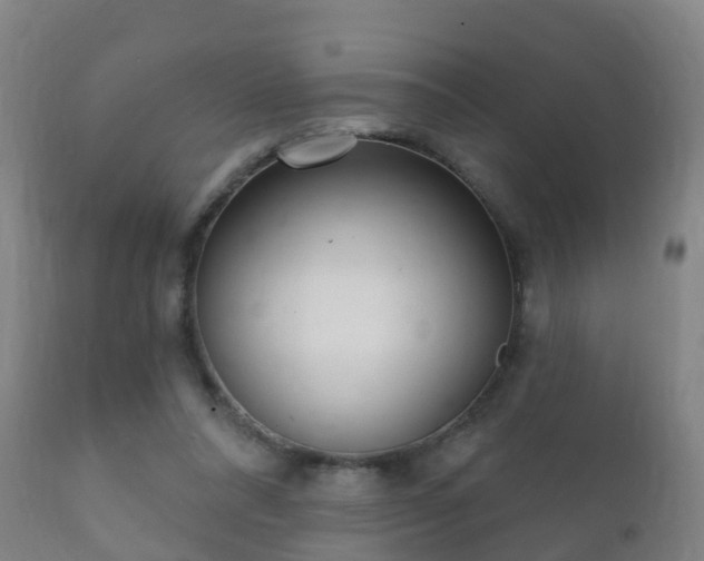 X0000112360304200908201509