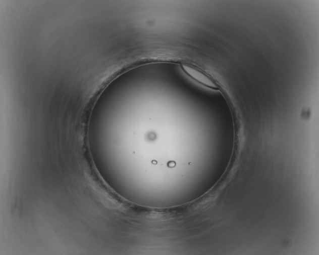 X0000112360305200908201509