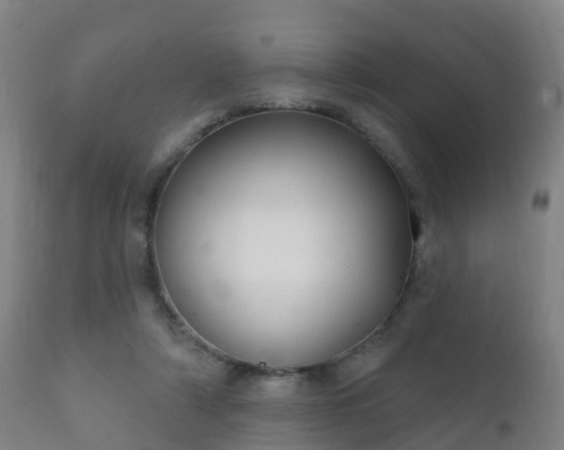 X0000112360306200908201509