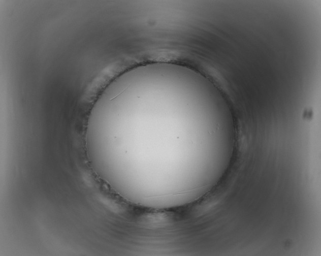 X0000112360307200908201509