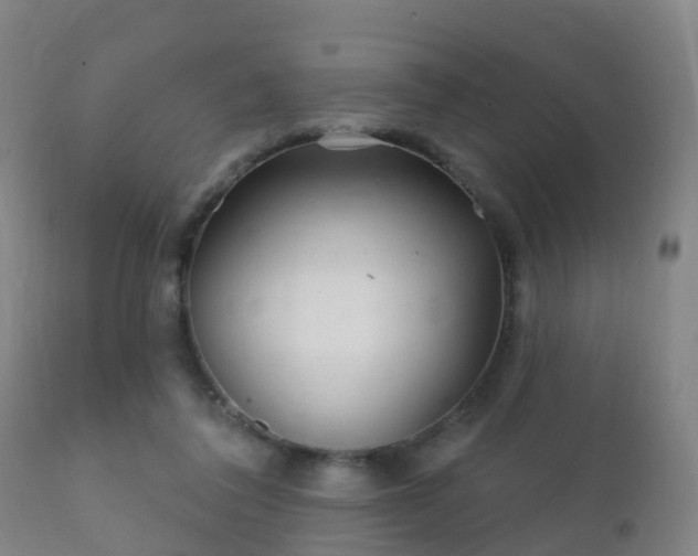 X0000112360308200908201509