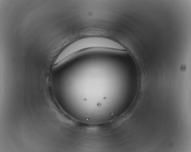 X0000112360309200908201509