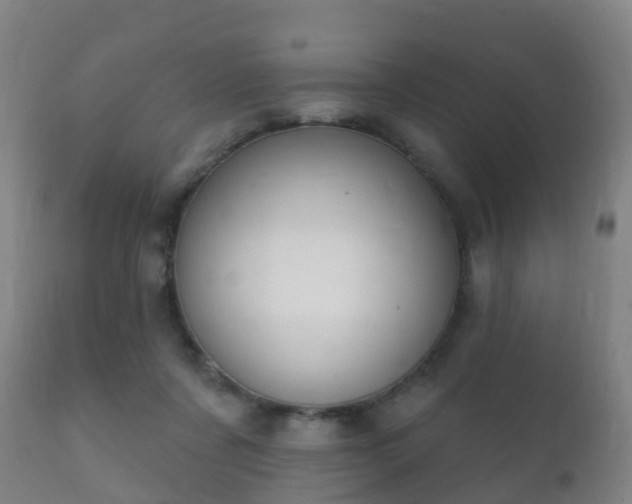 X0000112360311200908201509