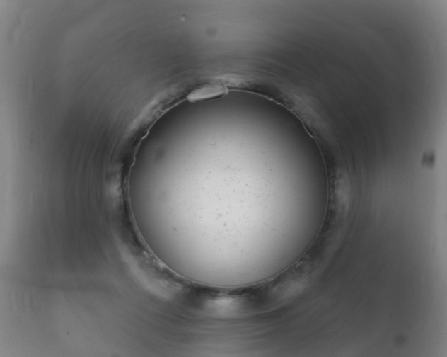 X0000112360312200908201509