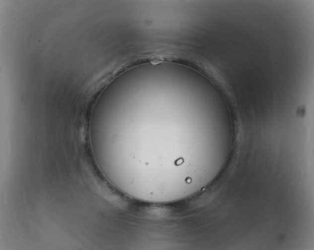 X0000112360313200908201509