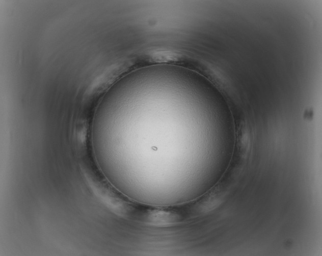 X0000112360315200908201509