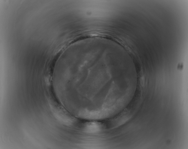 X0000112360316200908201509