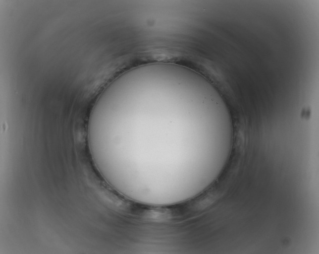 X0000112360317200908201509