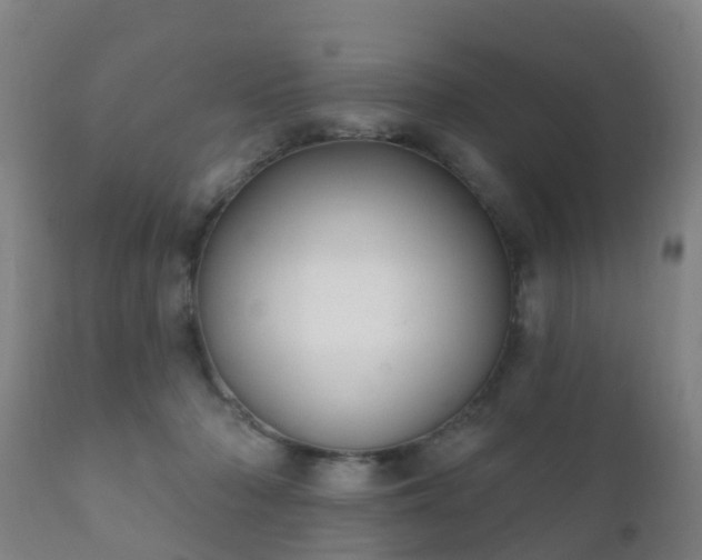 X0000112360318200908201509