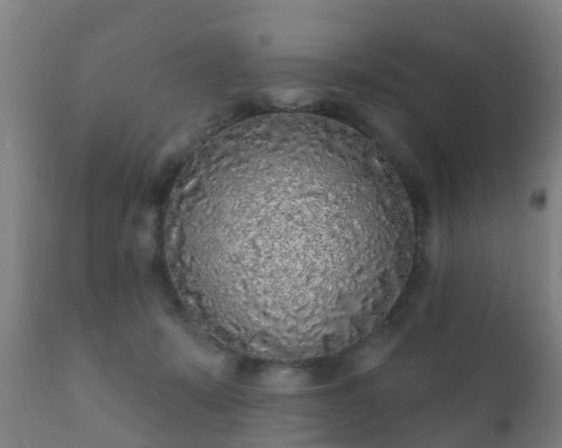 X0000112360319200908201509