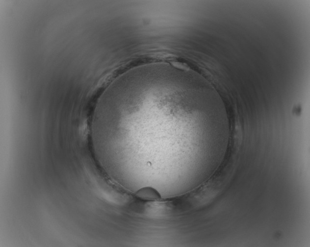 X0000112360320200908201509