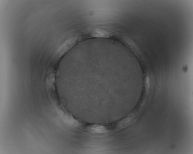 X0000112360322200908201509