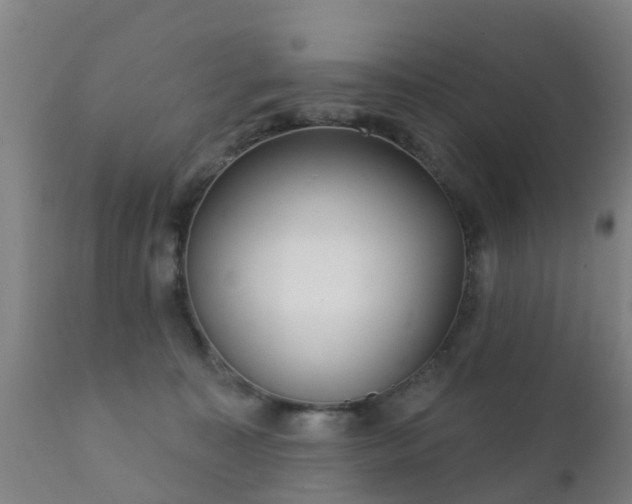 X0000112360323200908201509